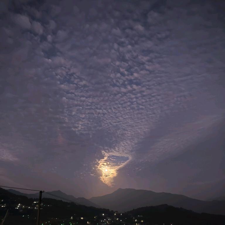 咸鱼爱吃鱼