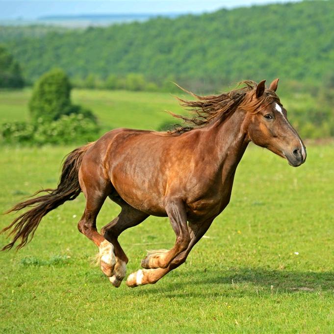 余生d(ŐдŐ๑)随心
