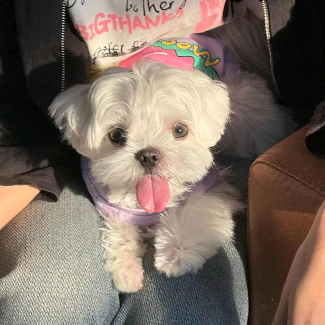🥳芳芳🤫