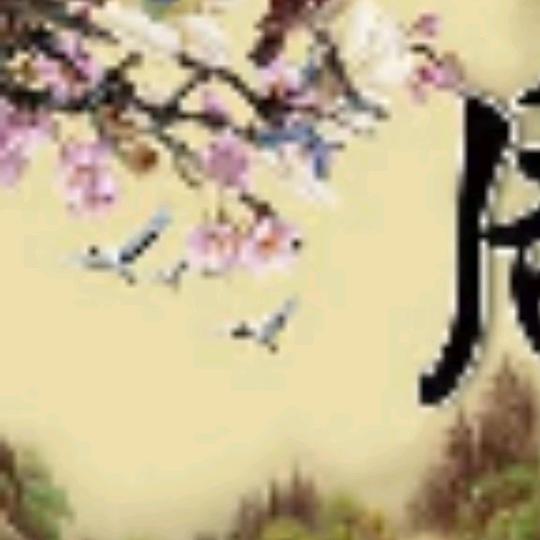 $自由飞翔$