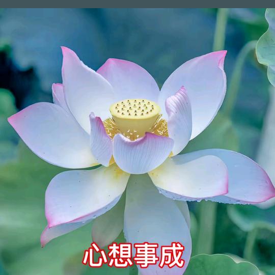 彩虹