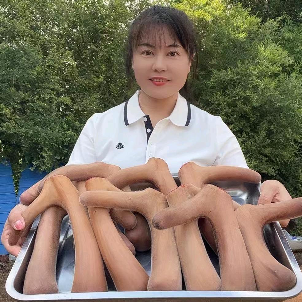 晓燕鹿产品