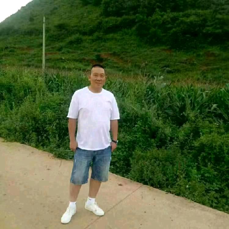 《随遇而安》