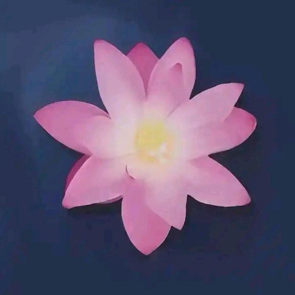 终止子