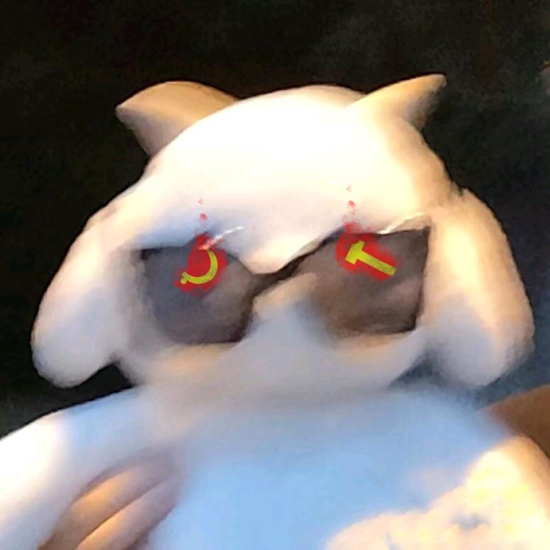香橙yu