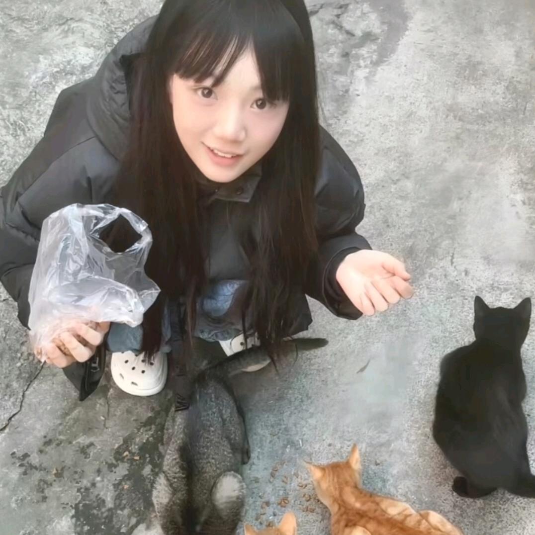 曦晨.