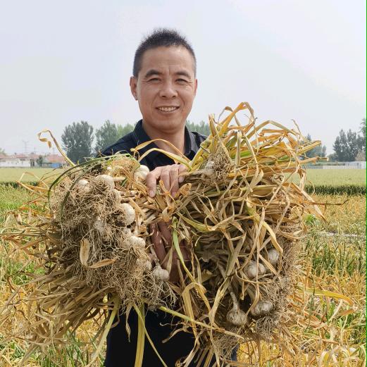 宋书记乡村逐梦日记