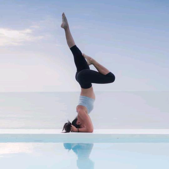 顺其自然，74的虎🐯拒绝私聊🐯