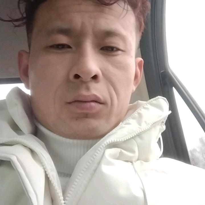 飞飞