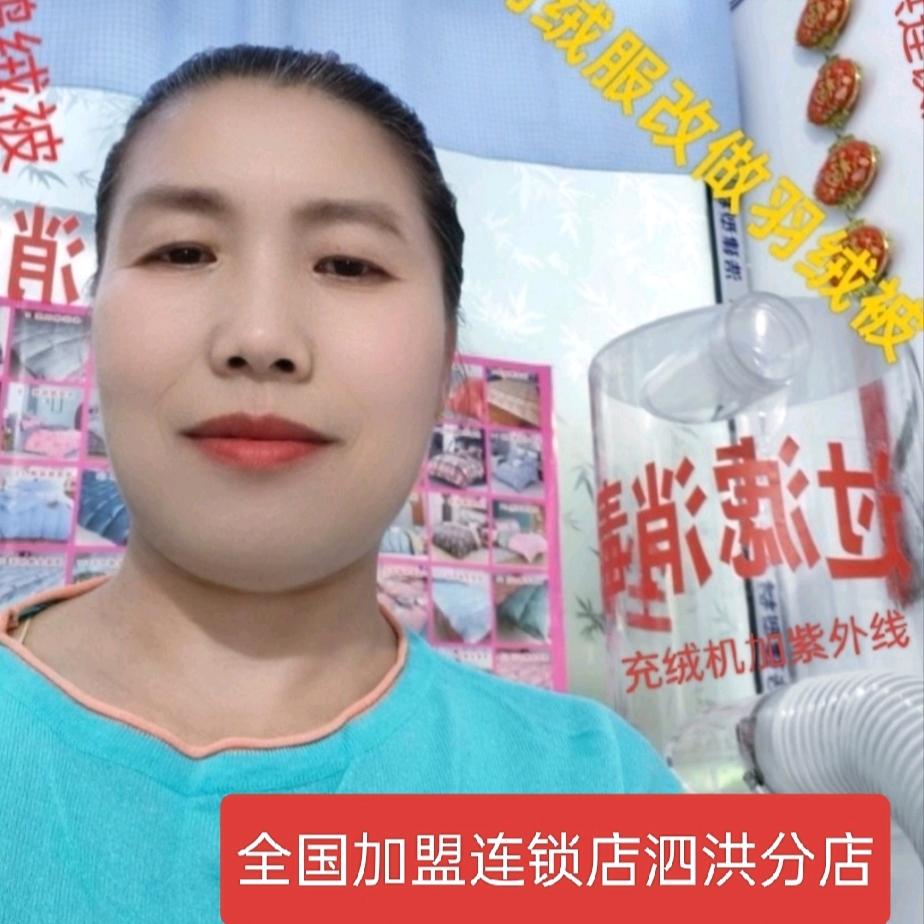 艺嘉羽绒被