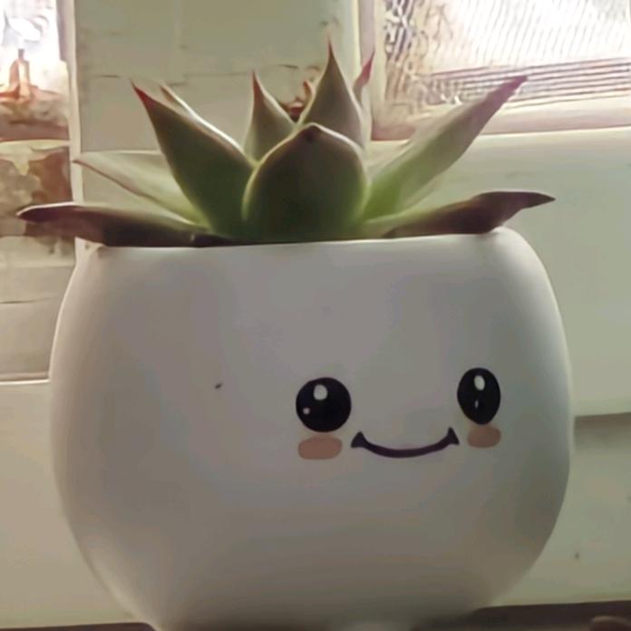 噜啦噜啦噜啦嘞