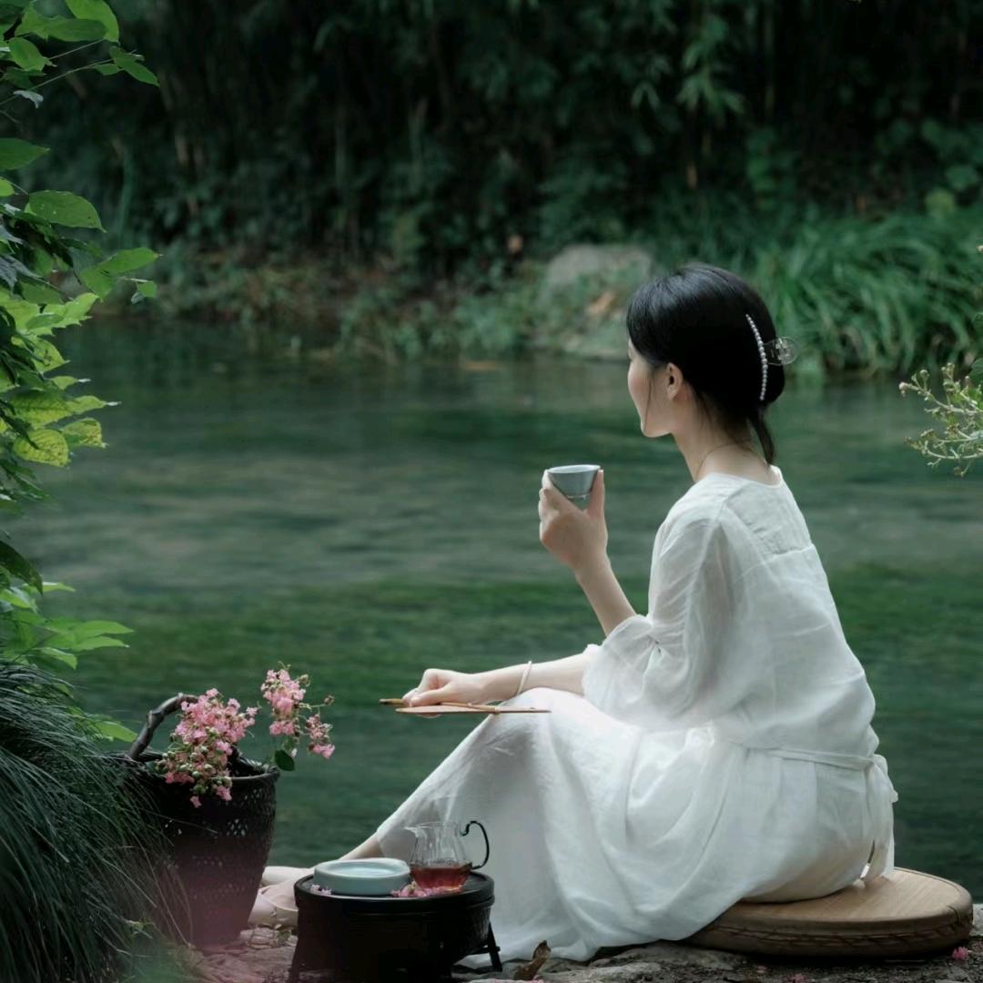 阿木的苗圃