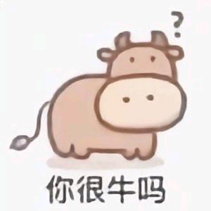 牛哞哞