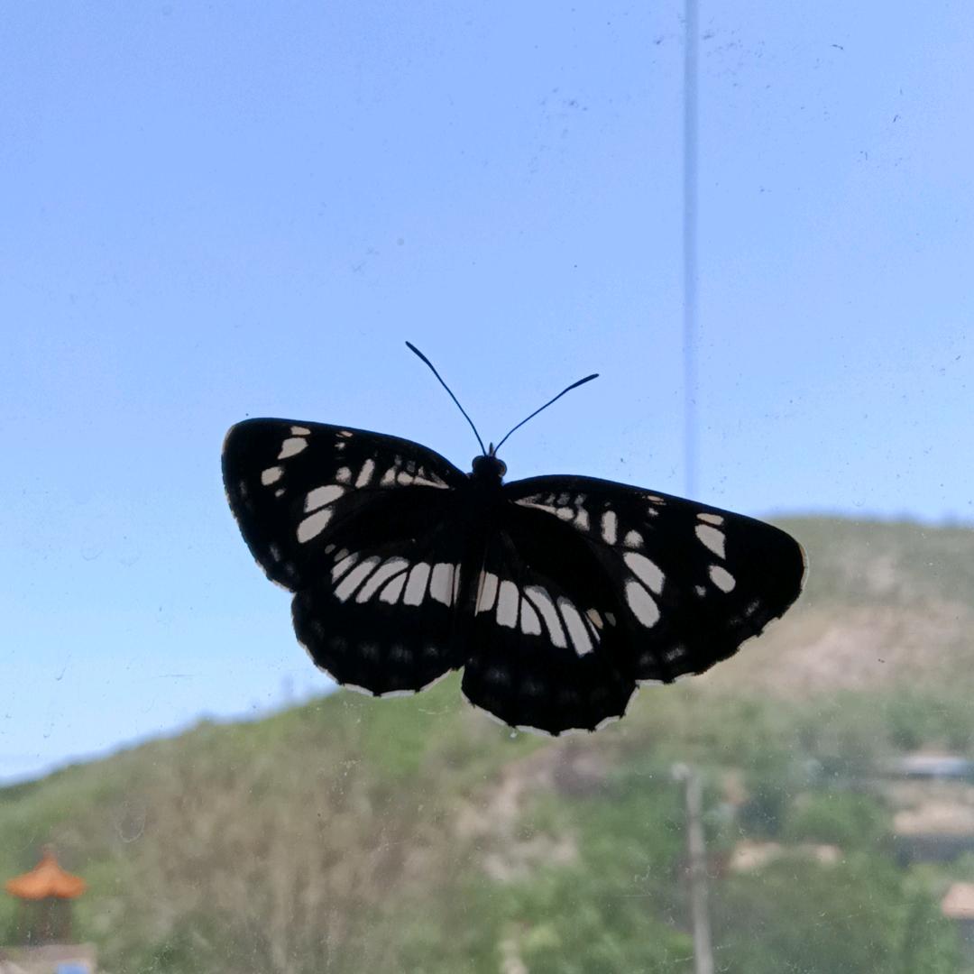 三竖