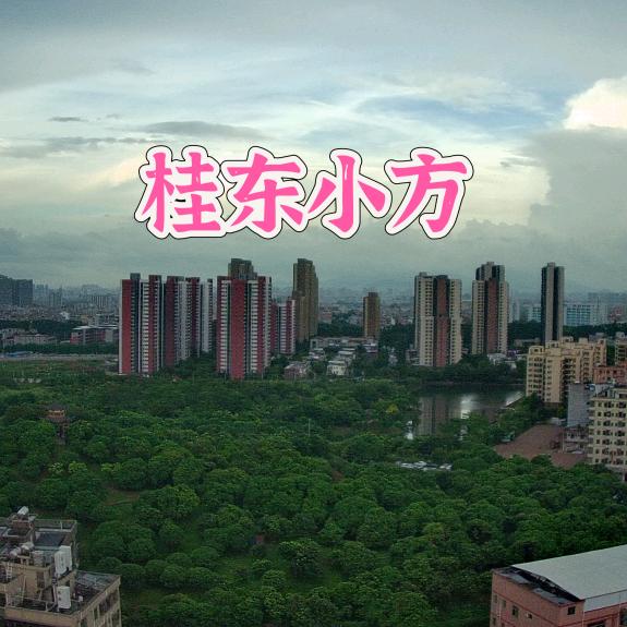 桂东小方