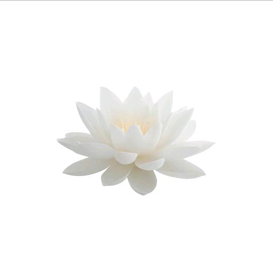 倒霉退退