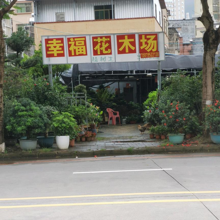 幸福花木场