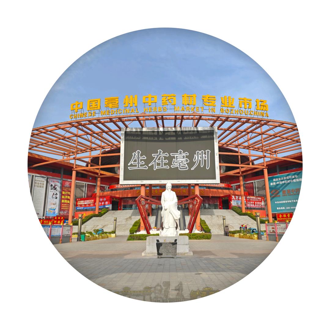 生在亳州