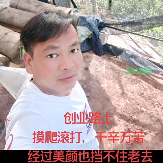 云贵葫蜂养殖