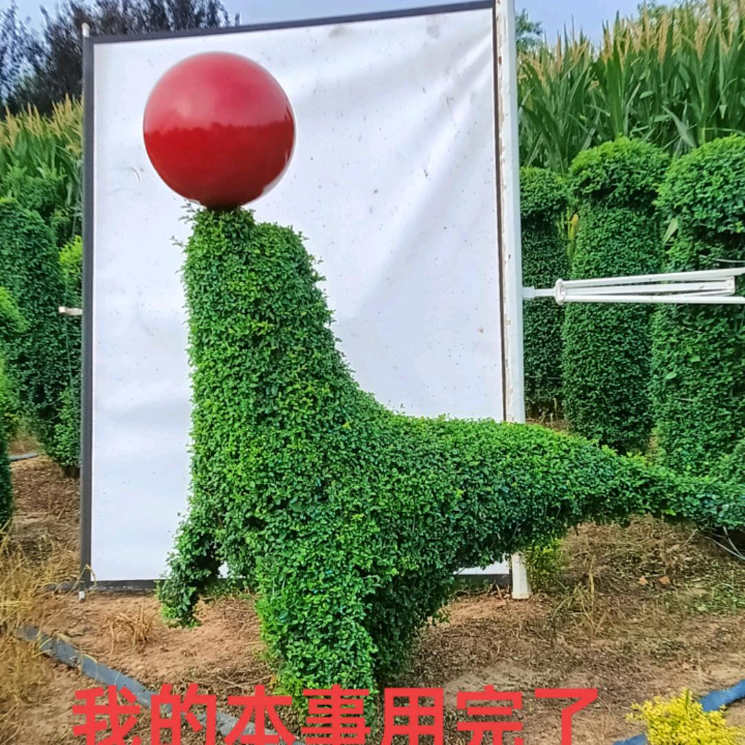 老司园林