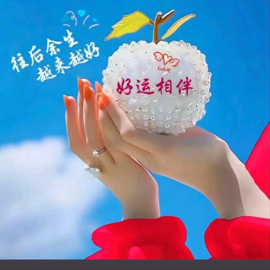 心随所愿