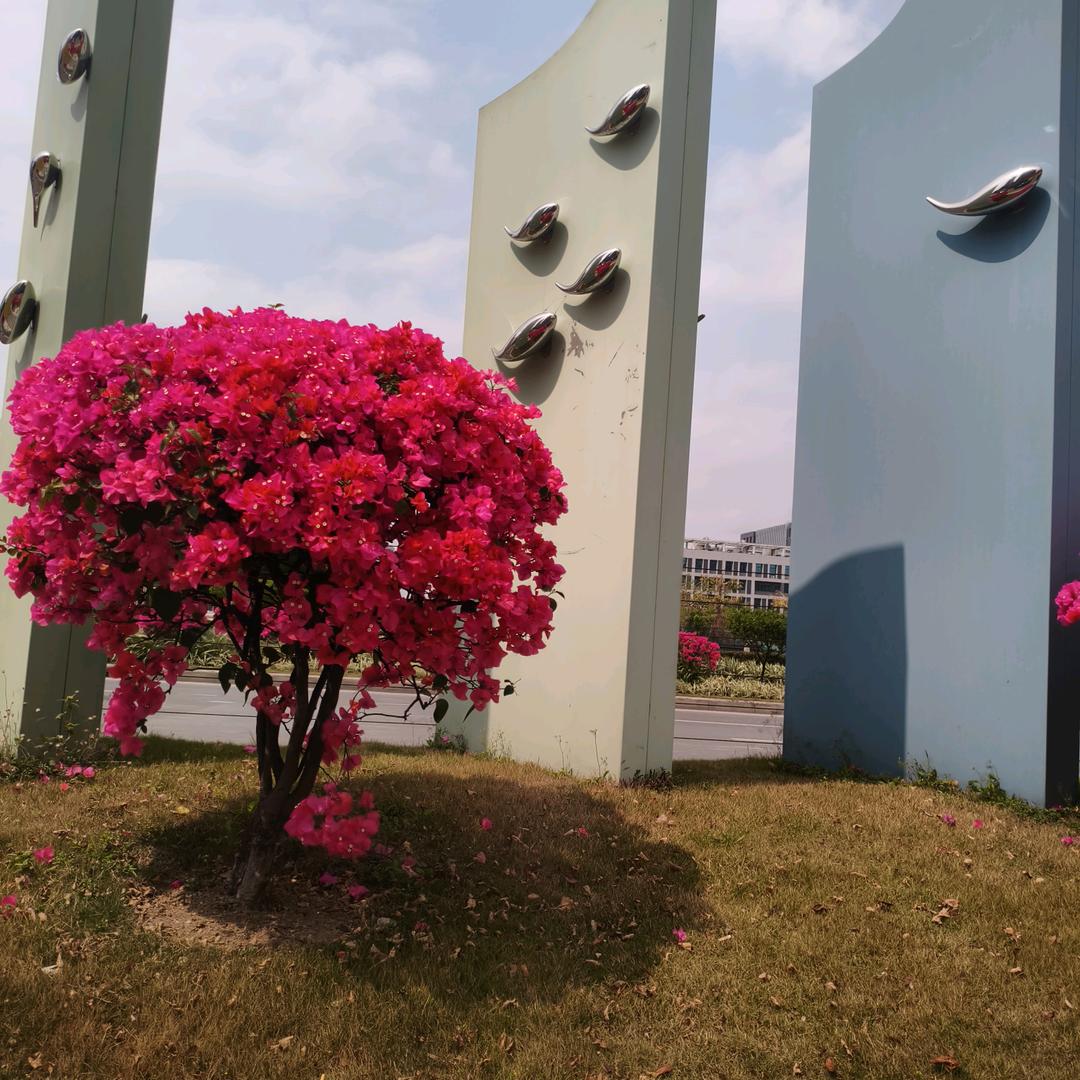 用户缘来有你