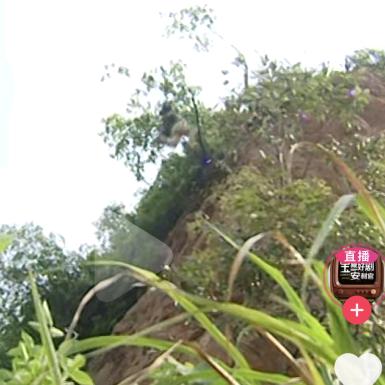 🌷酒💐酒🌺八🍀 加壹🍄