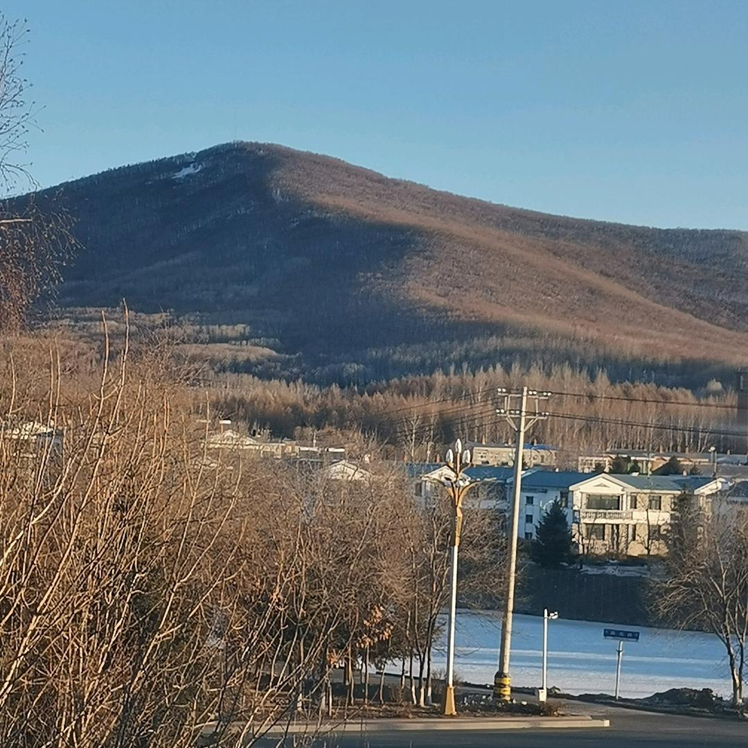 宝哥（后来）