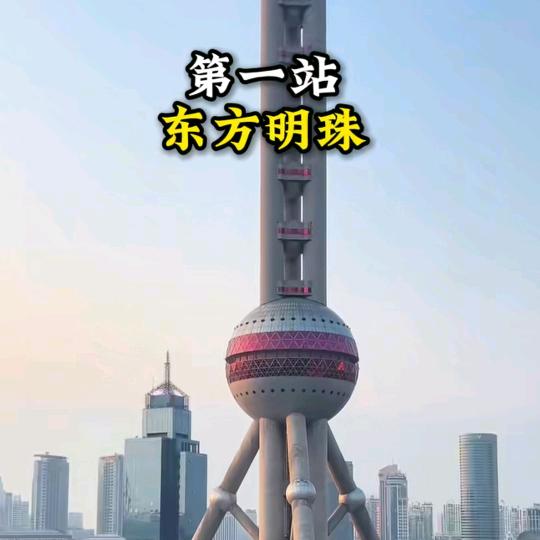 ✨雨中百荷