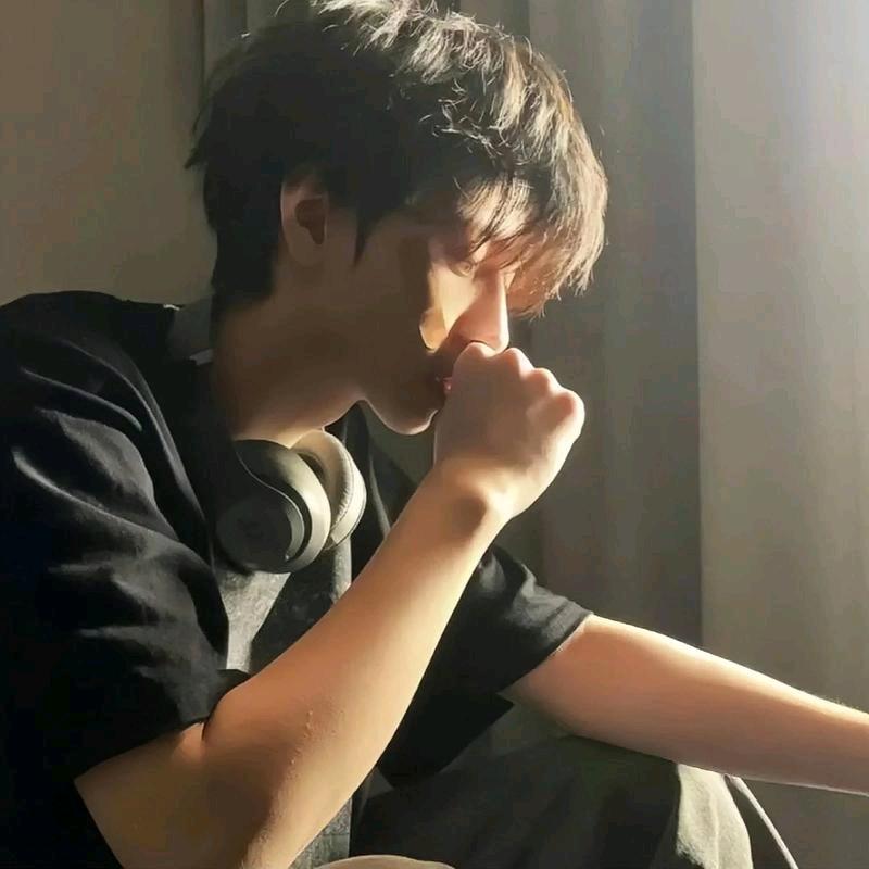 WD.极光X
