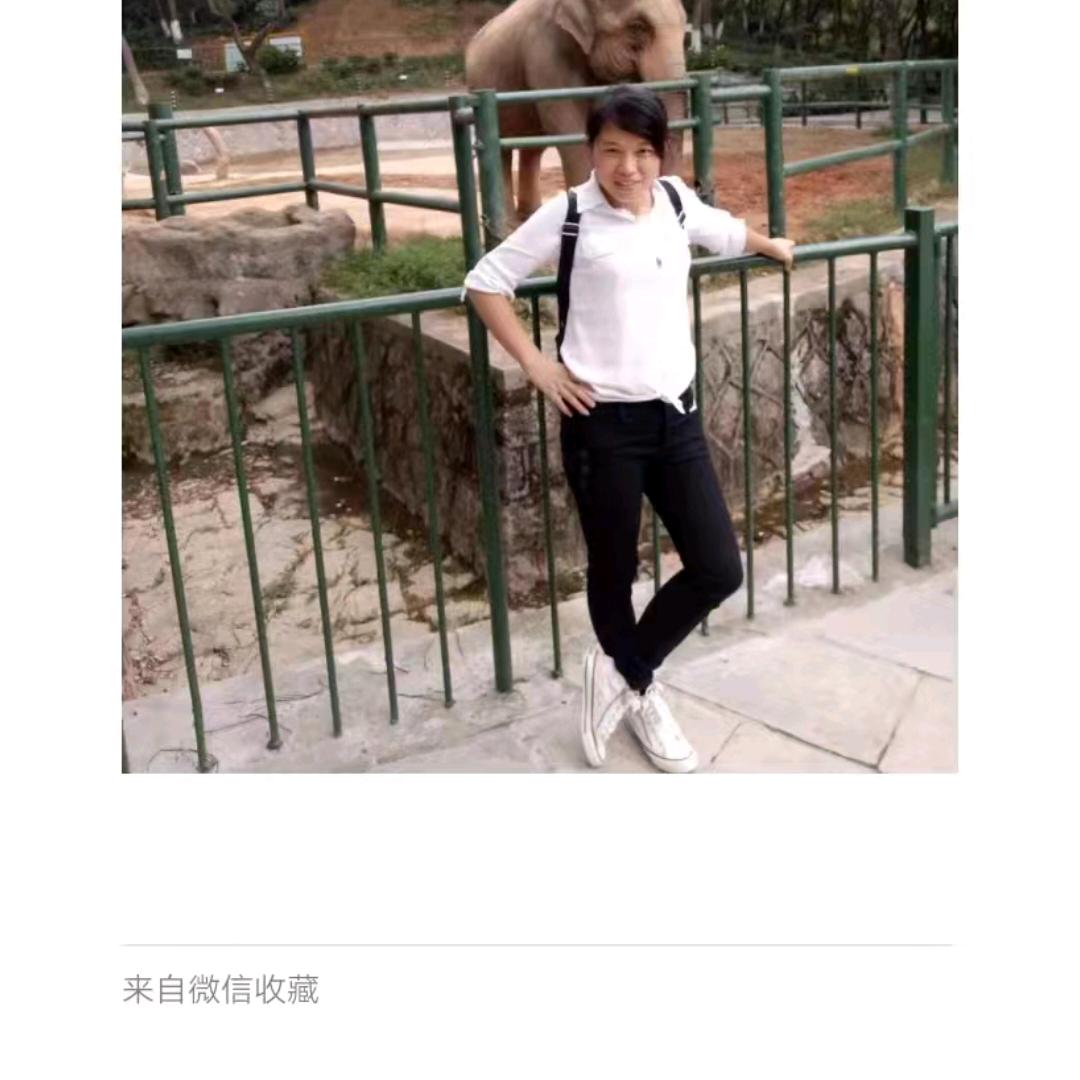 梦之蓝