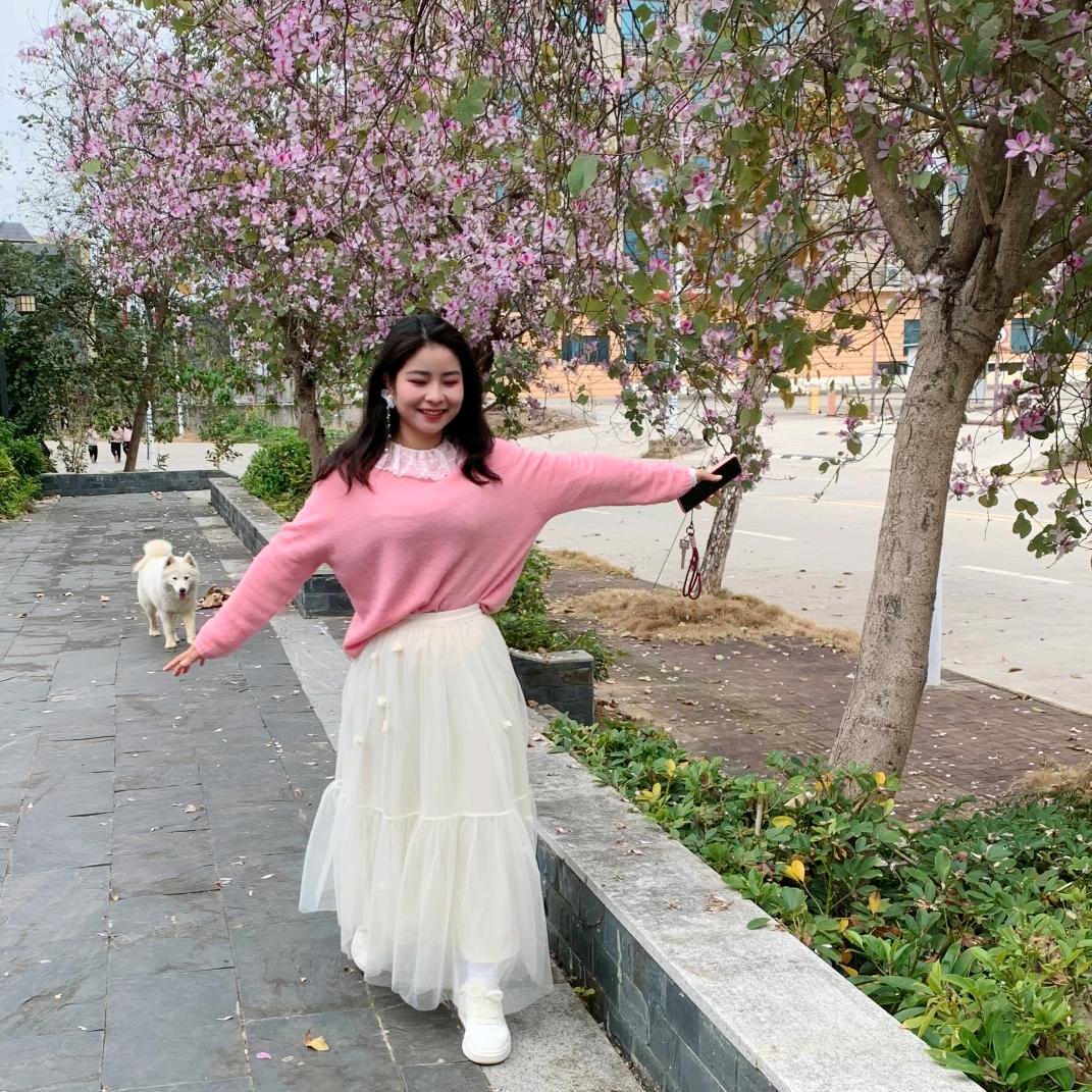 壹玖🌸