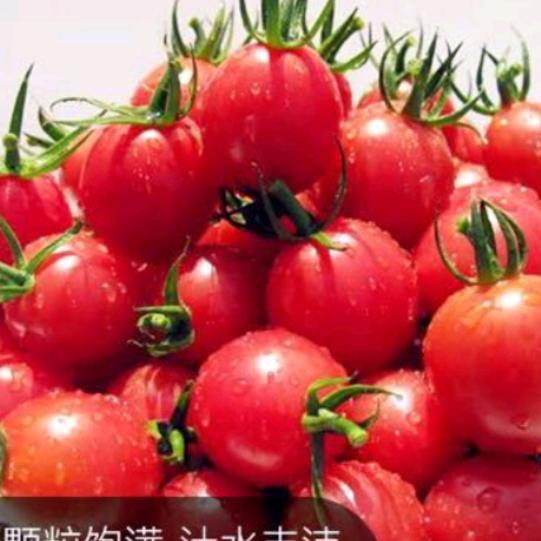 我是海纳百川
