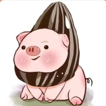 正义登哥