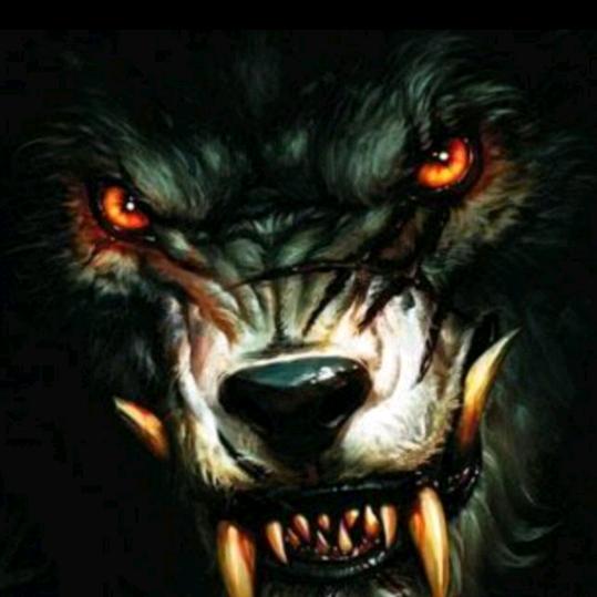 先某生再某爱吧