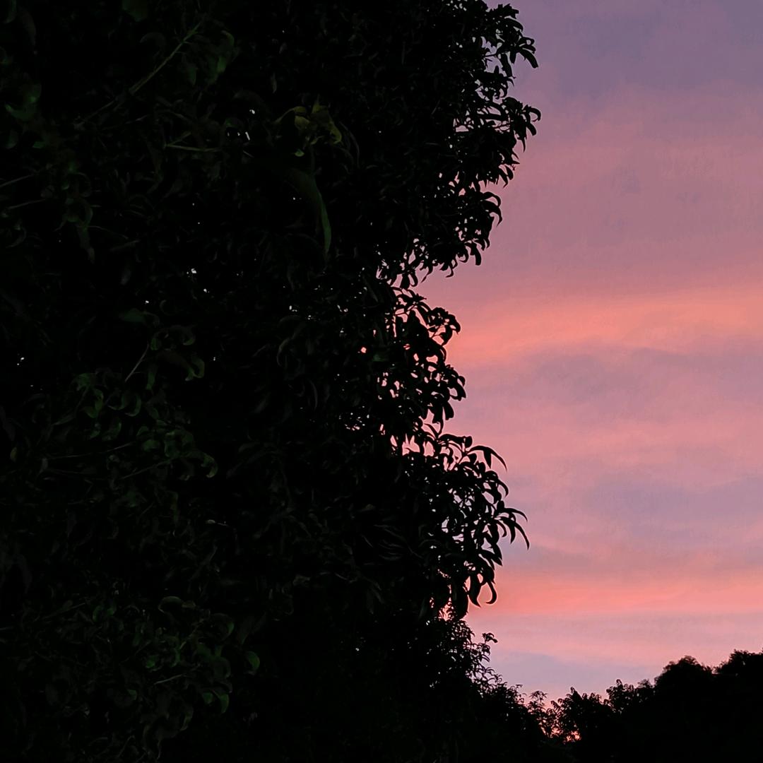 美好的一天又开始了！