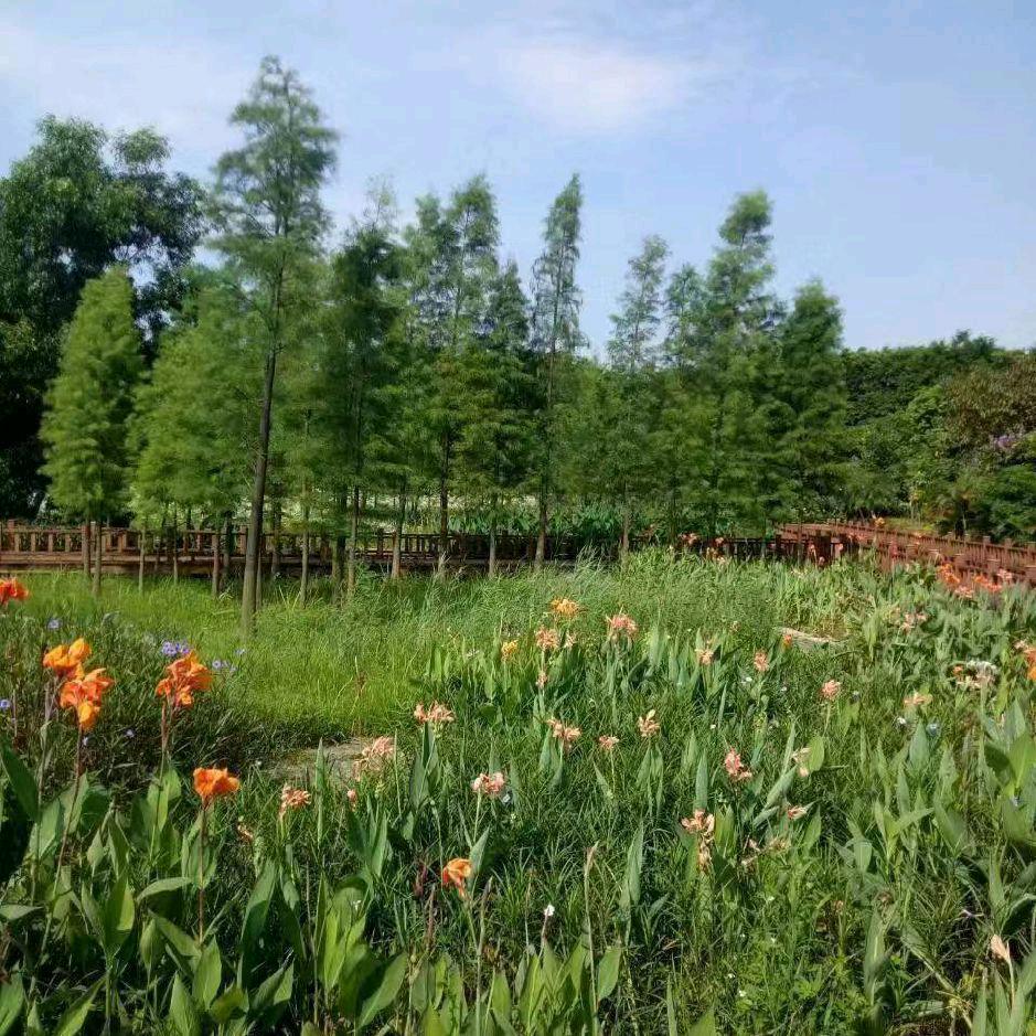 知足常乐自得其乐