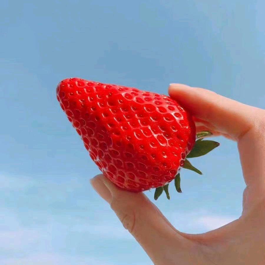 老陈家☆四妹