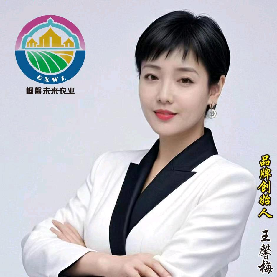国馨未来集团