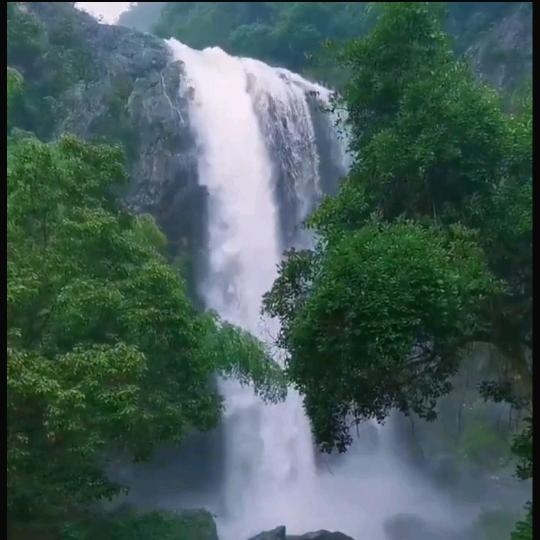 山哥