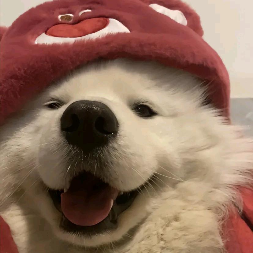 明天一定早睡•.•