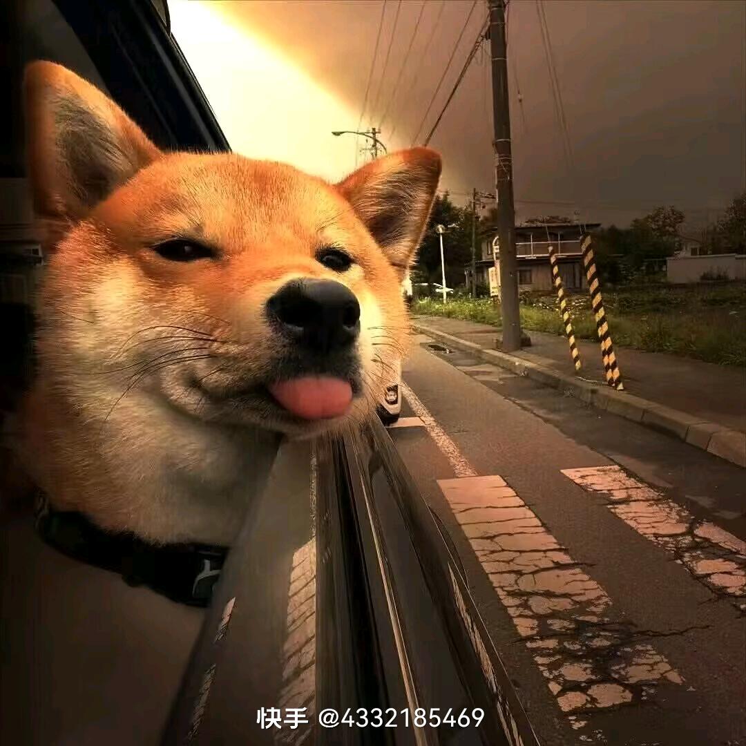 ZZ