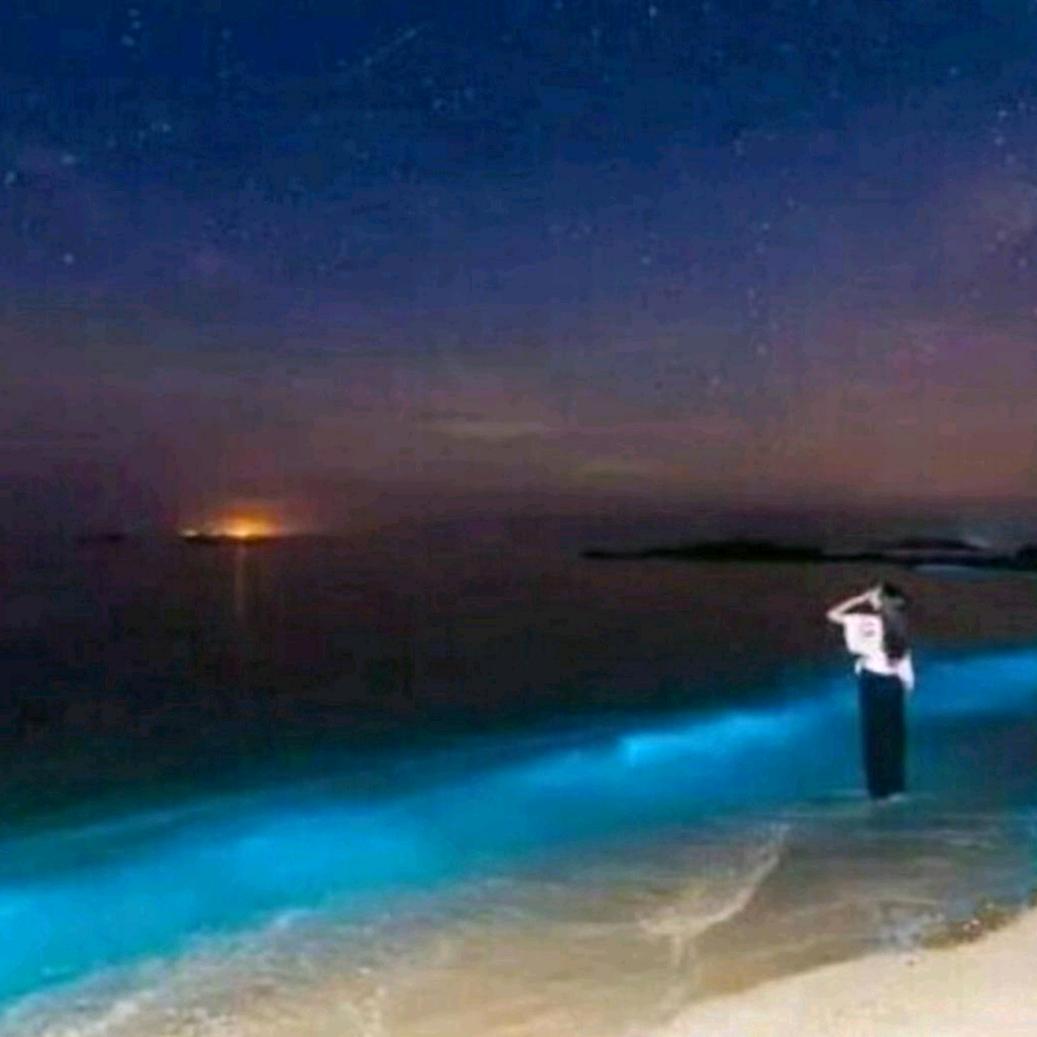 星月【与世无争】