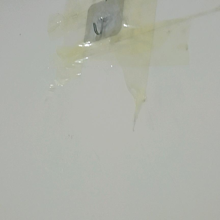 陆波