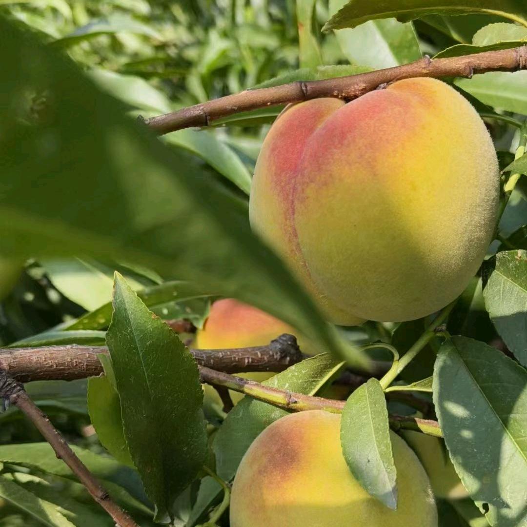 敢问路在何方，路在脚下