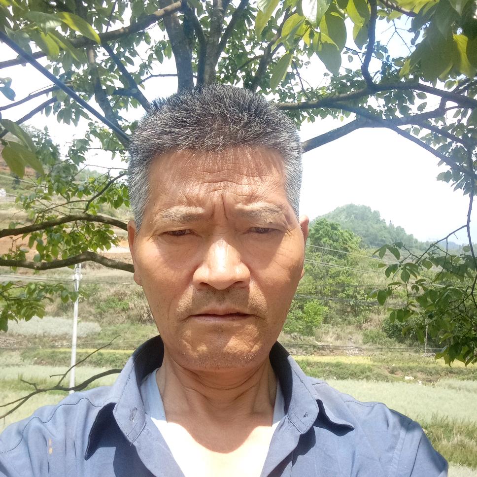 老`张