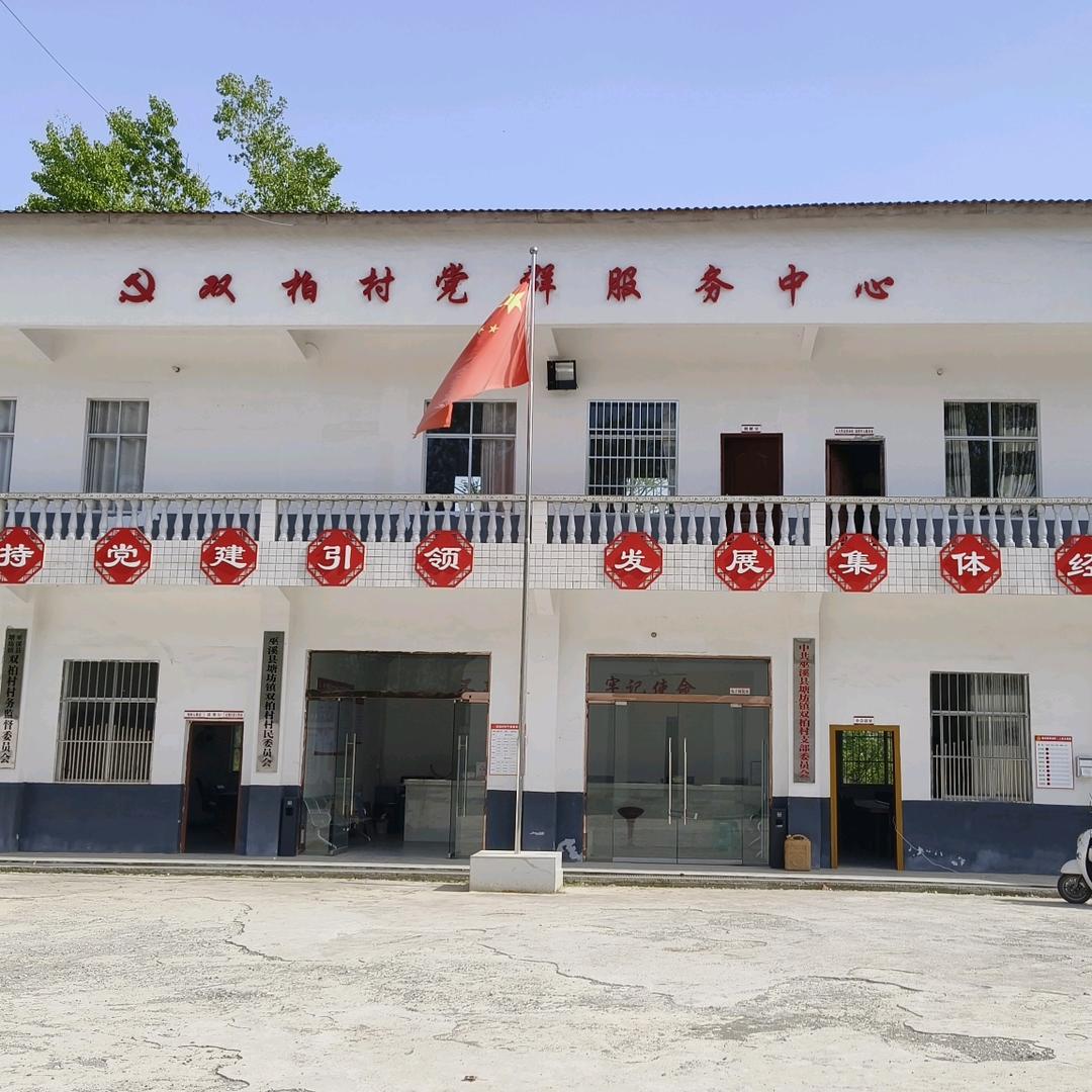 双柏村干部—助农
