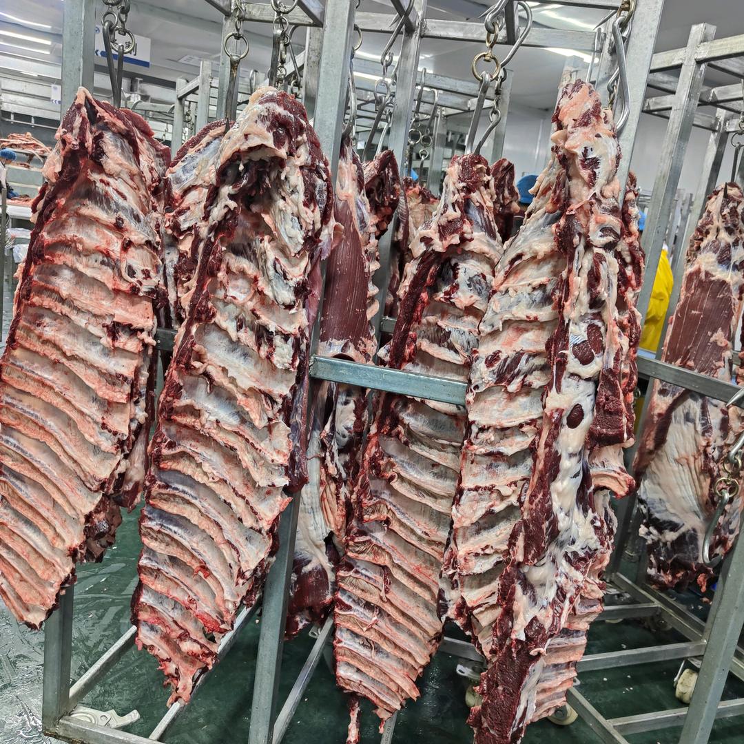 吉阿牛鲜牛肉厂家