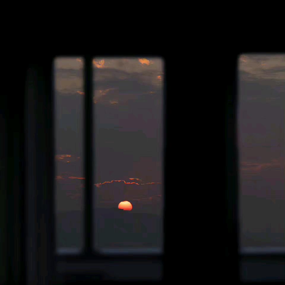 一棵树.