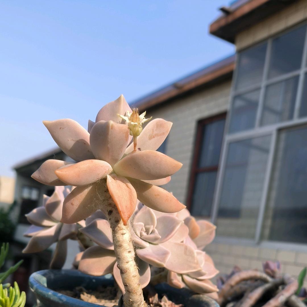 慢生活